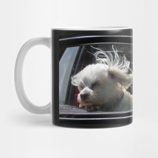 Oooh, how I love the wind and rain in my hair... Mug